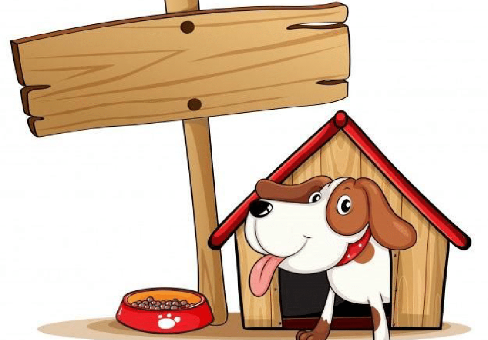 un-proprietaire-peut-il-refuser-animaux
