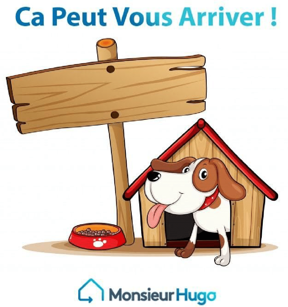 un-proprietaire-peut-il-refuser-animaux